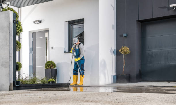 Best Paint Preparation  in Hydesville, CA